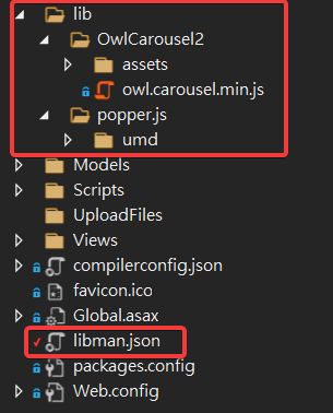 取回的專案與 LibMan.json